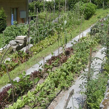 Eco-Hotel Cristallina Coglio Экстерьер фото